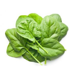 v_456_456_elo11612-mosott-spenot-644624534